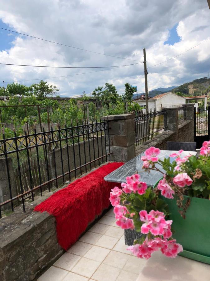 Adriatik Guesthouse Përmet Kültér fotó