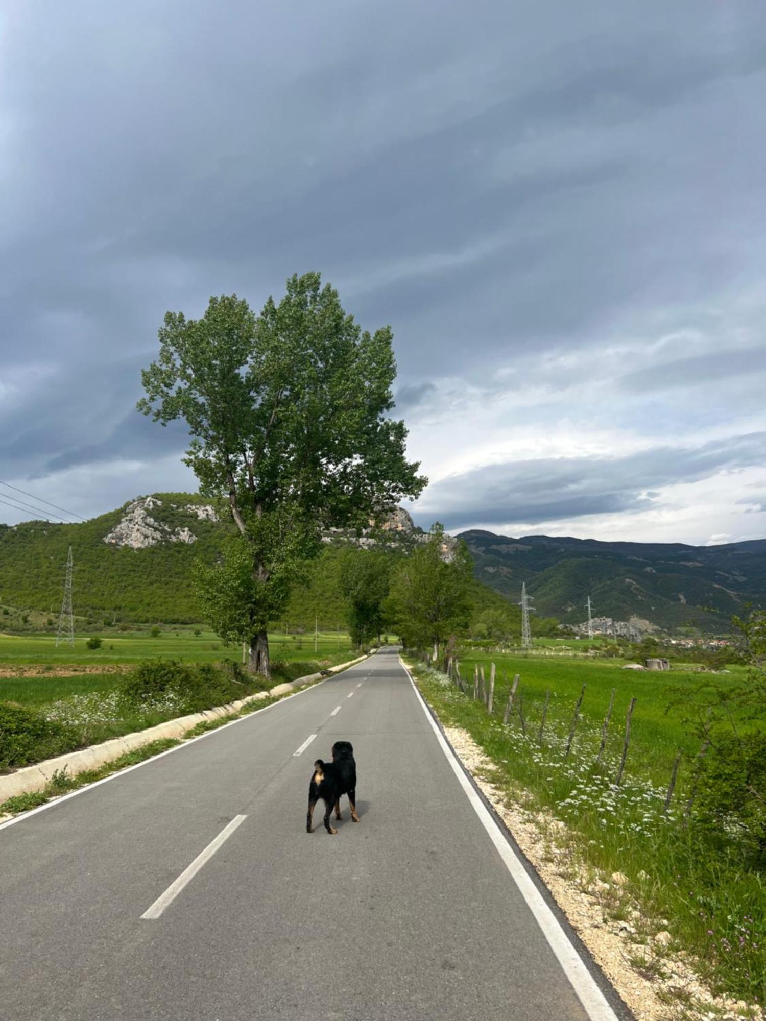 Adriatik Guesthouse Përmet Kültér fotó